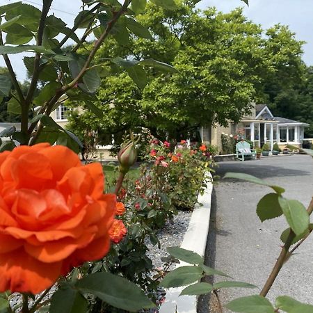 Copperfield House Bed & Breakfast Cashel  Dış mekan fotoğraf